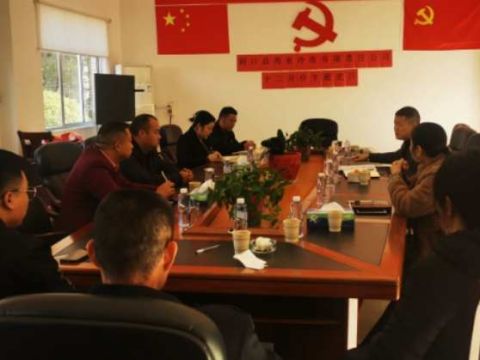 湖南洞口县高沙镇党建引领聚合力，同“新”协力谱新篇