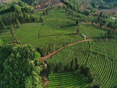 云南芒洪民族乡：“三强化”持续壮大村级集体经济