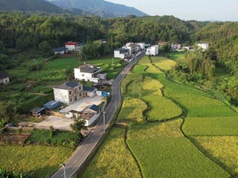 江西安远县塘村乡：三个抓手   加快建设宜居宜业和美乡村