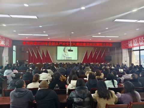 眉山天府新区青龙街道：召开2025年全面从严治党党风廉政建设和反腐败工作会
