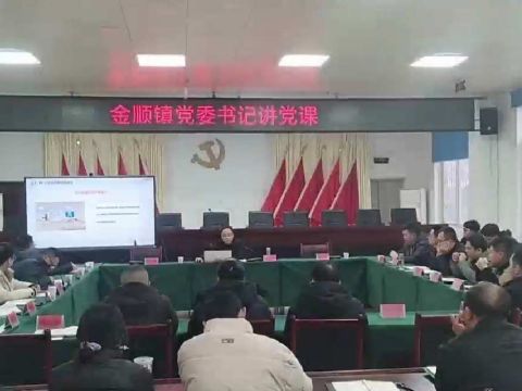 金顺镇组织召开“有话青年说”干部大讲堂