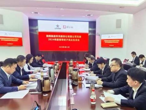 陕西融通军民服务社有限公司党委召开2024年度民主生活会