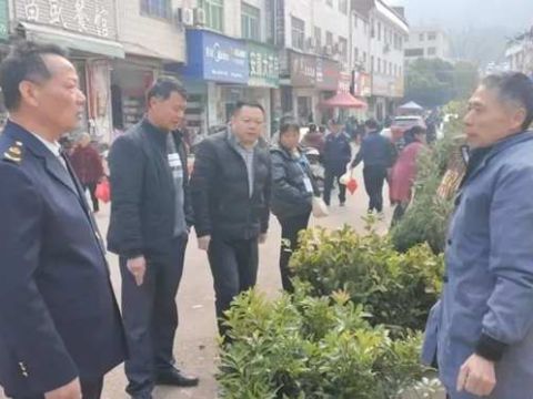 江西会昌庄口镇开展柑橘类苗木专项整治行动