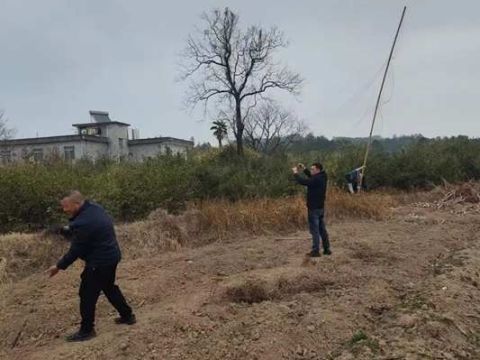 江西会昌庄口镇：开展清网护鸟专项行动，筑牢生态安全防线