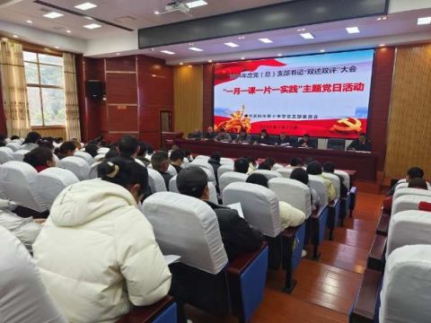 武冈十中召开党（总）支部书记“双述双评”大会