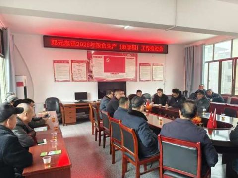 武冈市邓元泰镇召开2025年粮食生产工作推进会