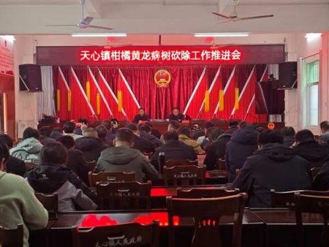江西安远天心镇：“四个早”织密柑橘黄龙病防控网 守护乡村振兴“黄金果”
