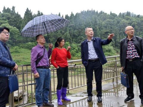 湖南省隆回县财政局：以“财”为墨绘就乡村振兴“丰”景图