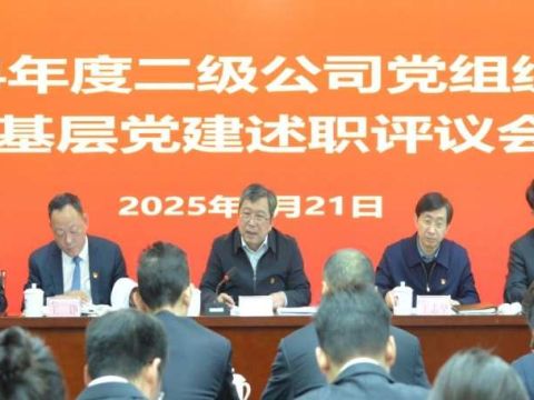 江西省水投集团：创新“三个三”机制  抓实党组织书记抓基层党建述职评议工作