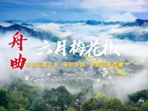 甘肃舟曲：党建引领产业旺 花椒铺就致富路