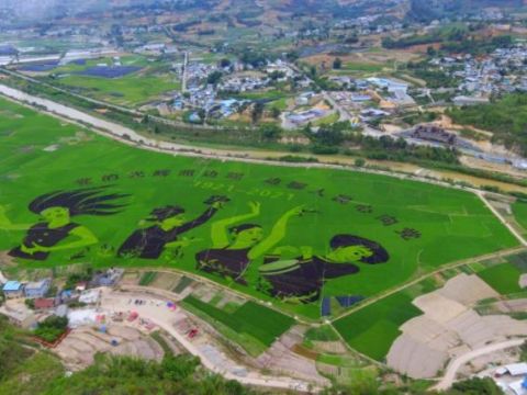 云南双江：党建引领基层治理推进美丽乡村建设